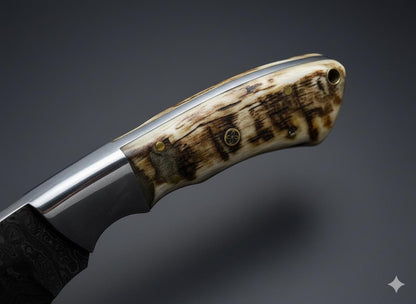 Damascus Knife with Genuine Ram Horn handle | Gut Hook Fixed Blade