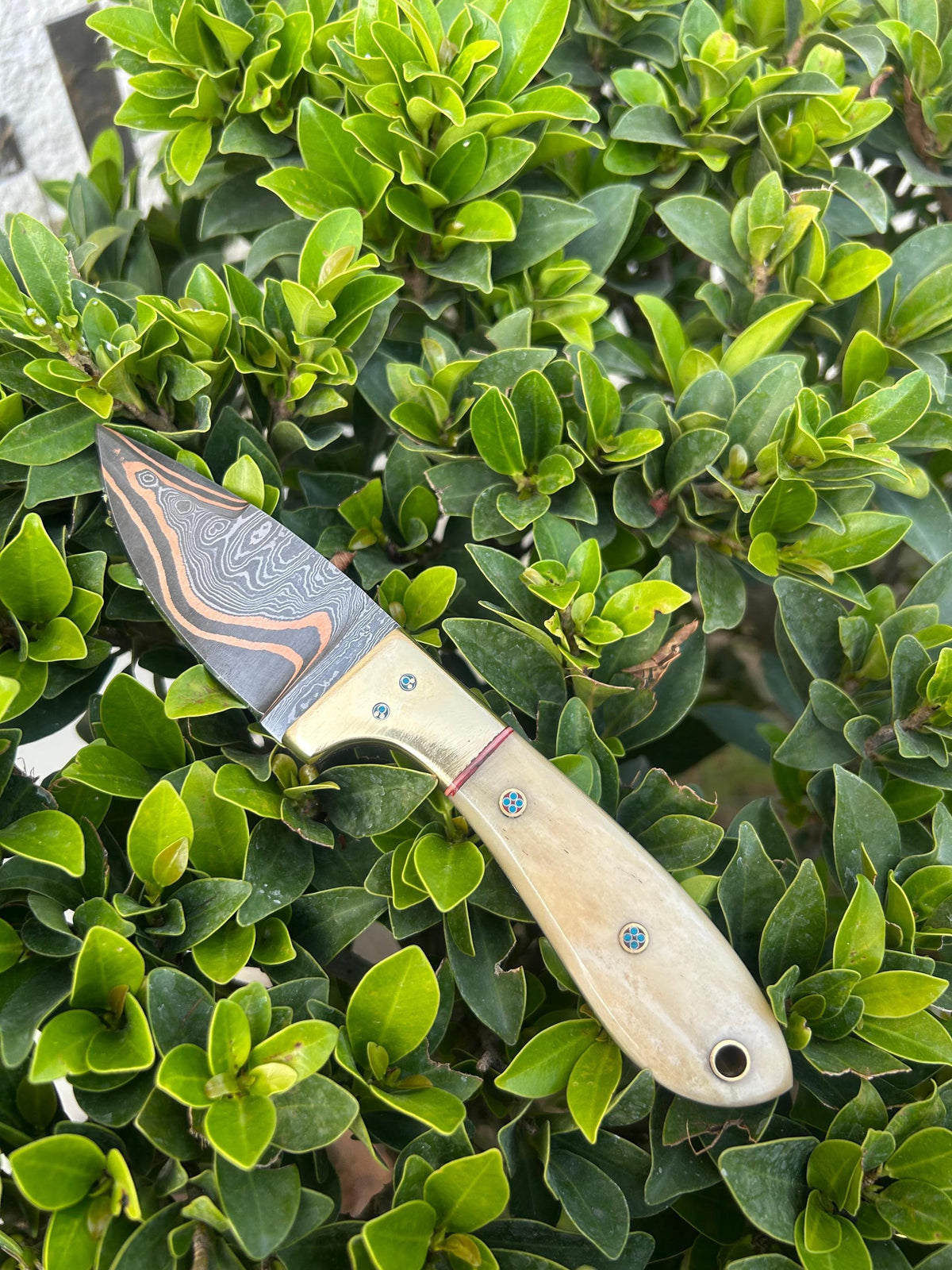 Cu-Mai Damascus Skinner Tool, Polished Bone & Brass Handle with Cross-Draw Leather Sheath