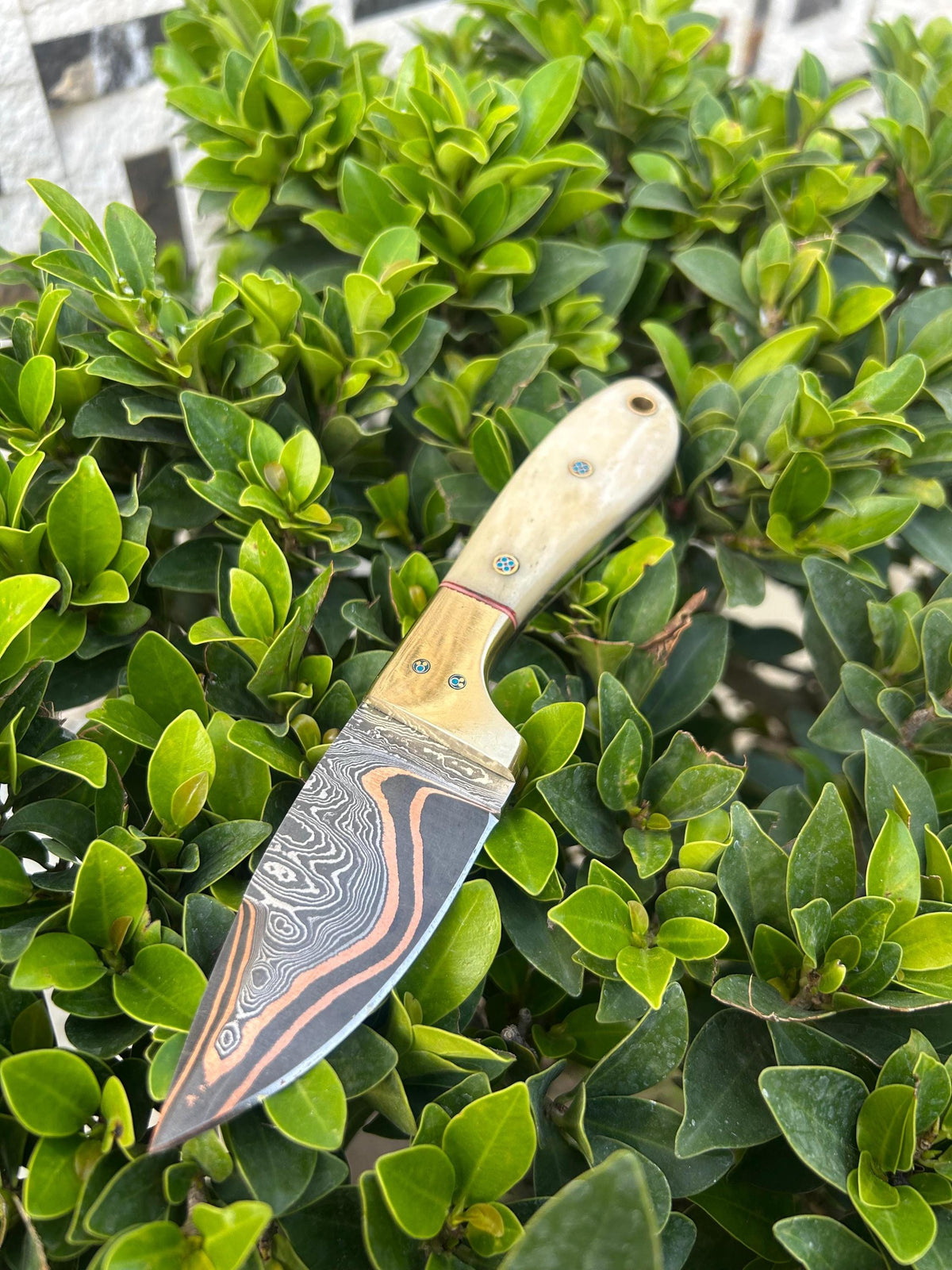 Cu-Mai Damascus Skinner Tool, Polished Bone & Brass Handle with Cross-Draw Leather Sheath