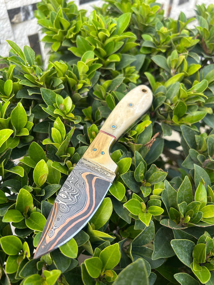 Cu-Mai Damascus Skinner Tool, Polished Bone & Brass Handle with Cross-Draw Leather Sheath