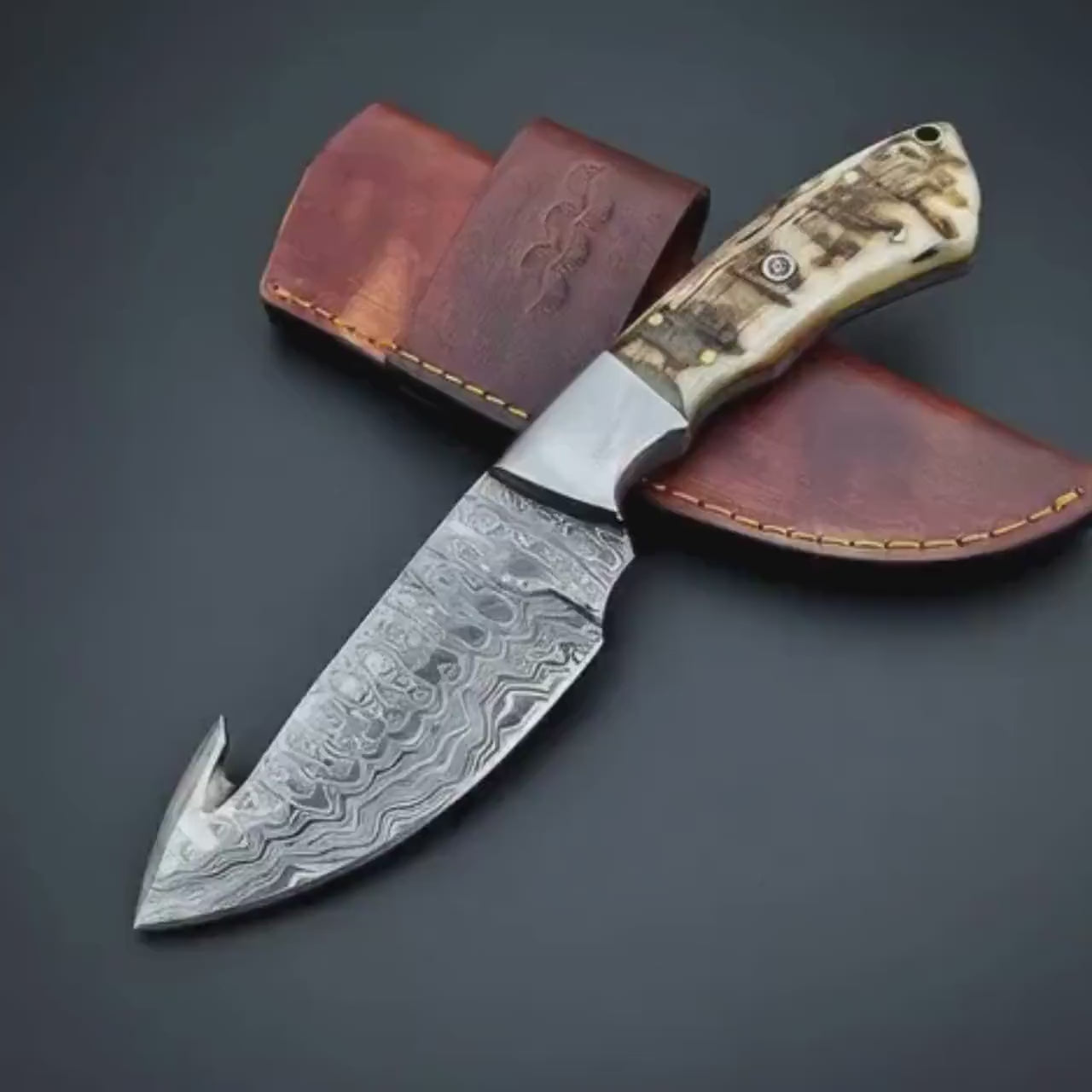 Damascus Knife with Genuine Ram Horn handle | Gut Hook Fixed Blade